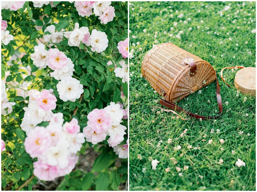 Summer vibes from a picnic basket and roses 