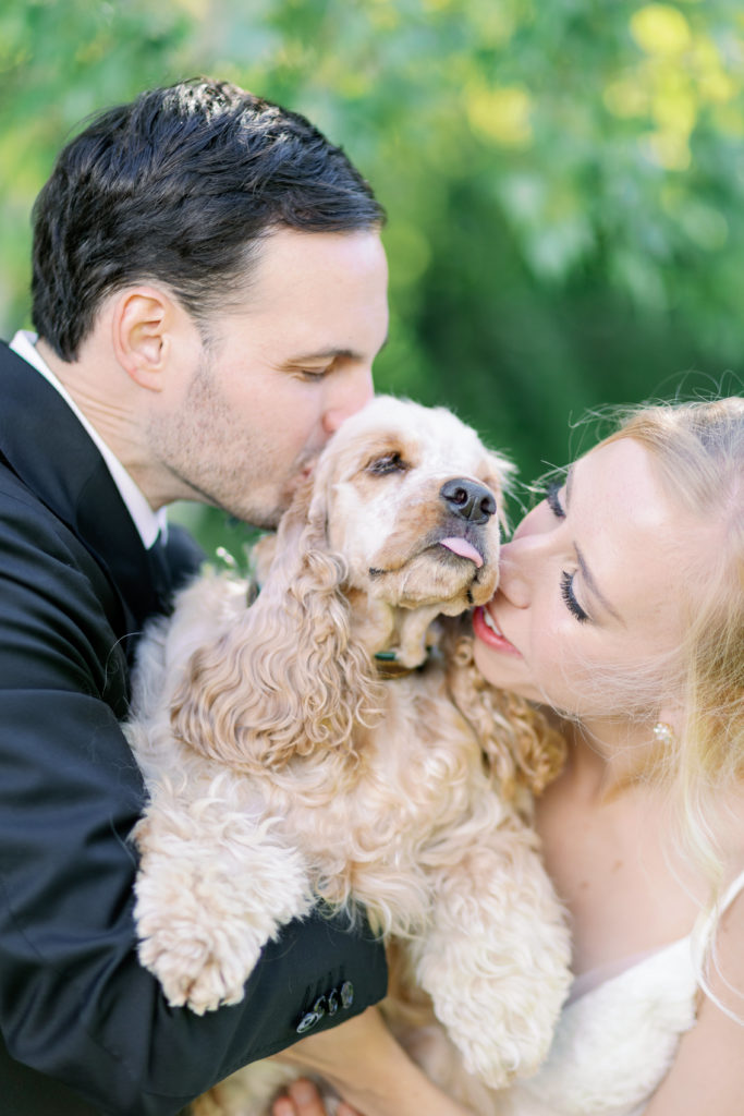 Bride and groom with dog on their wedding day in Minnesota